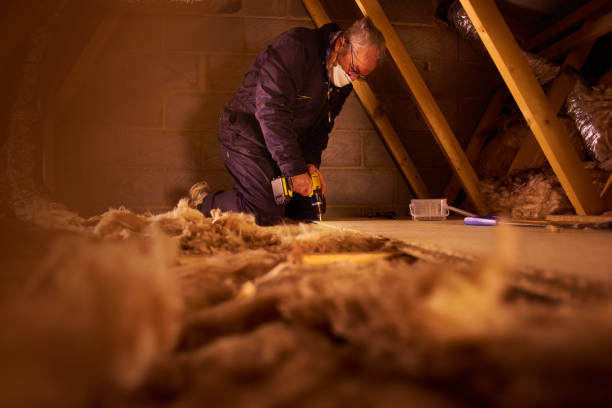 Best Batt and Roll Insulation  in Seat Pleasant, MD